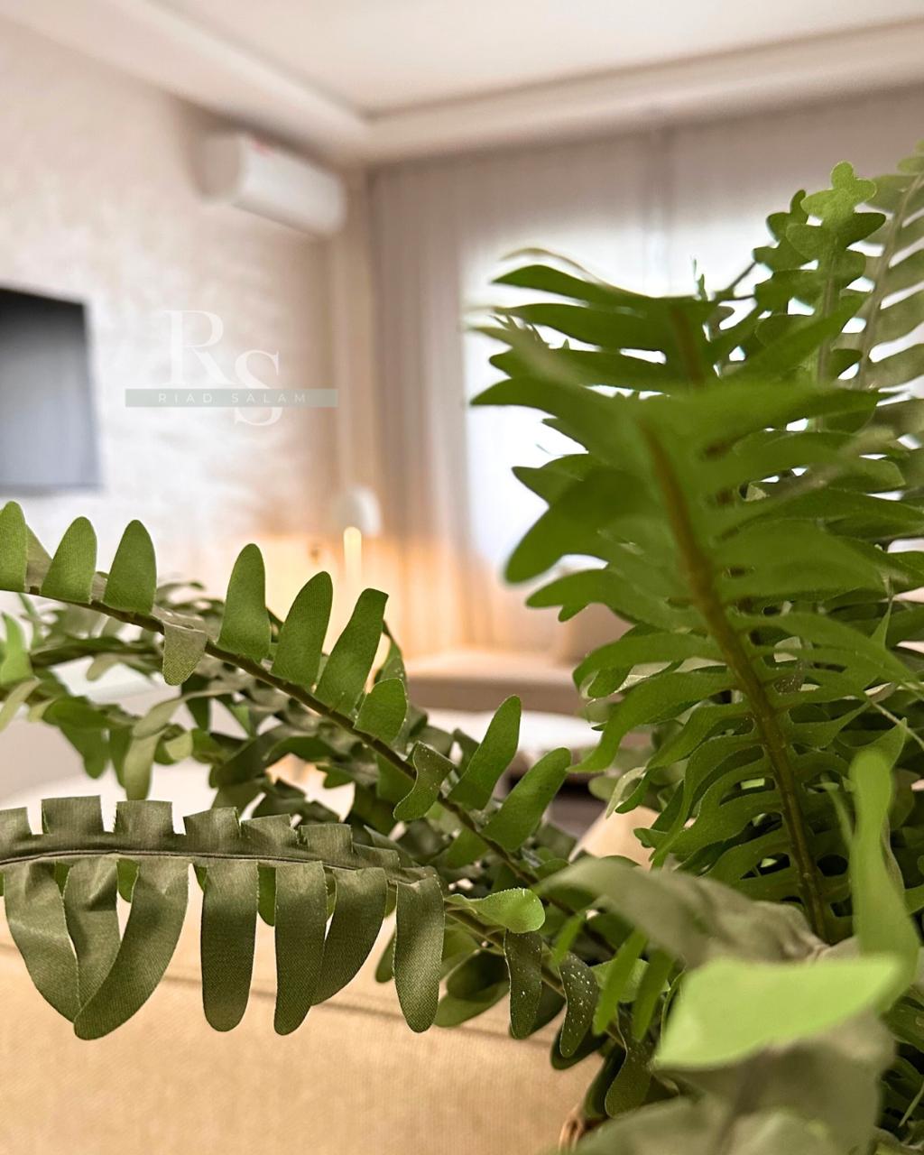 Tangier apartment — image 10